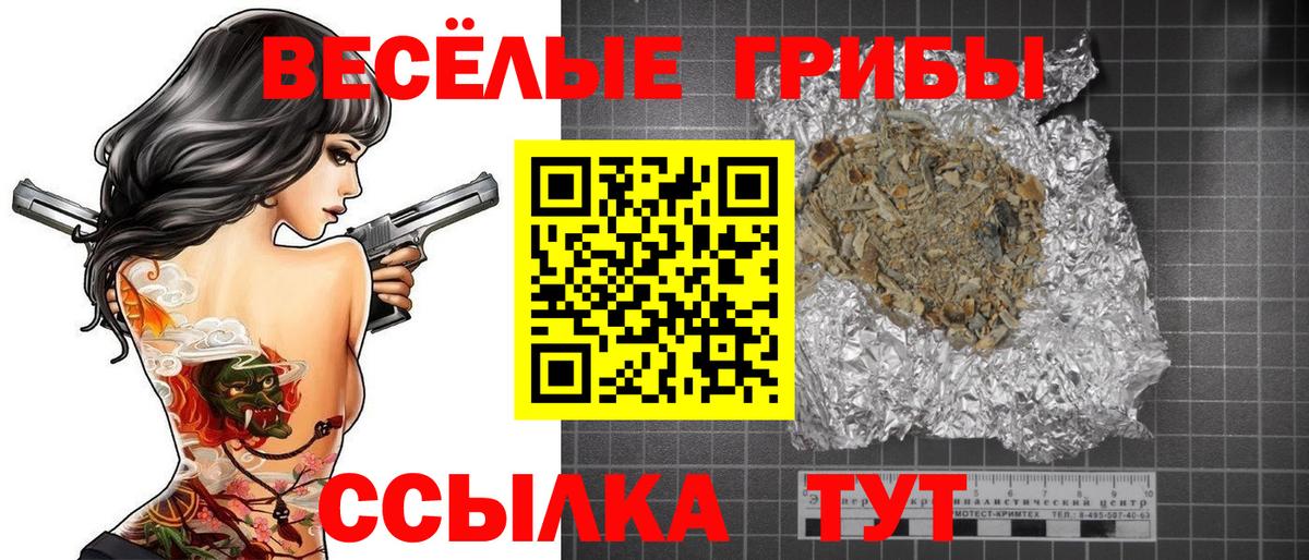 Псилоцибиновые грибы мицелий Лесной
