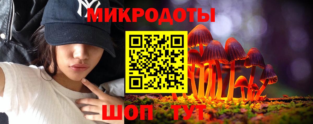Лесной  Галлюциногенные грибы мицелий  Вход с VPN 