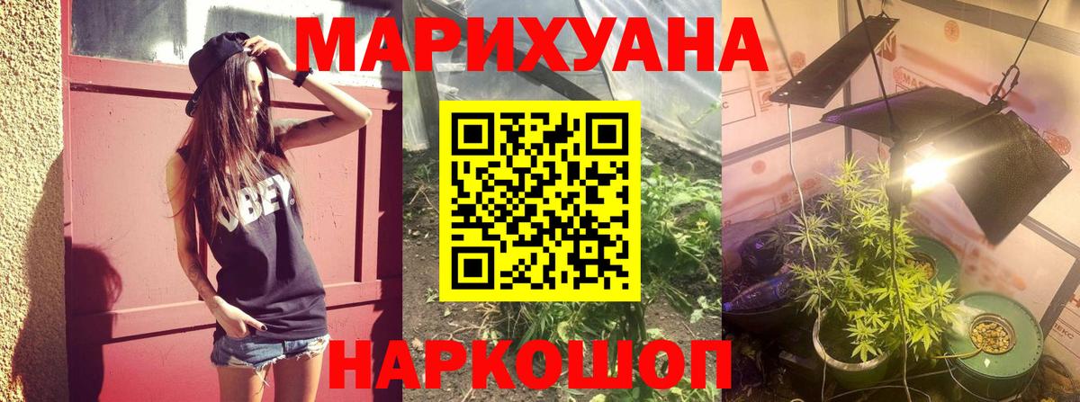 Конопля OG Kush Лесной